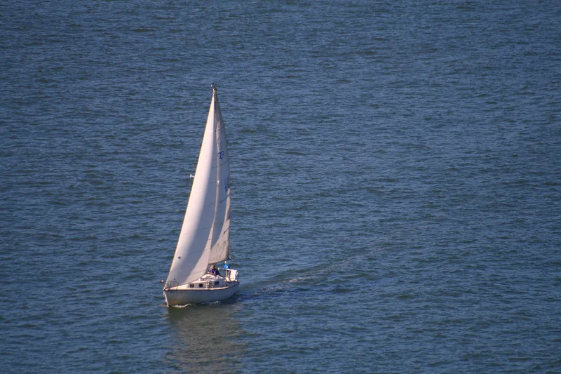 Fleet Week - gallery image 2