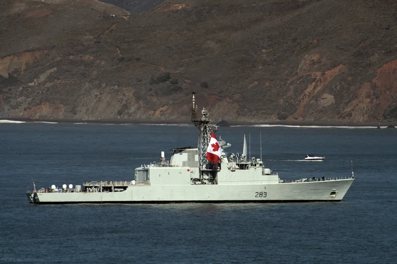 Fleet Week - gallery image 7