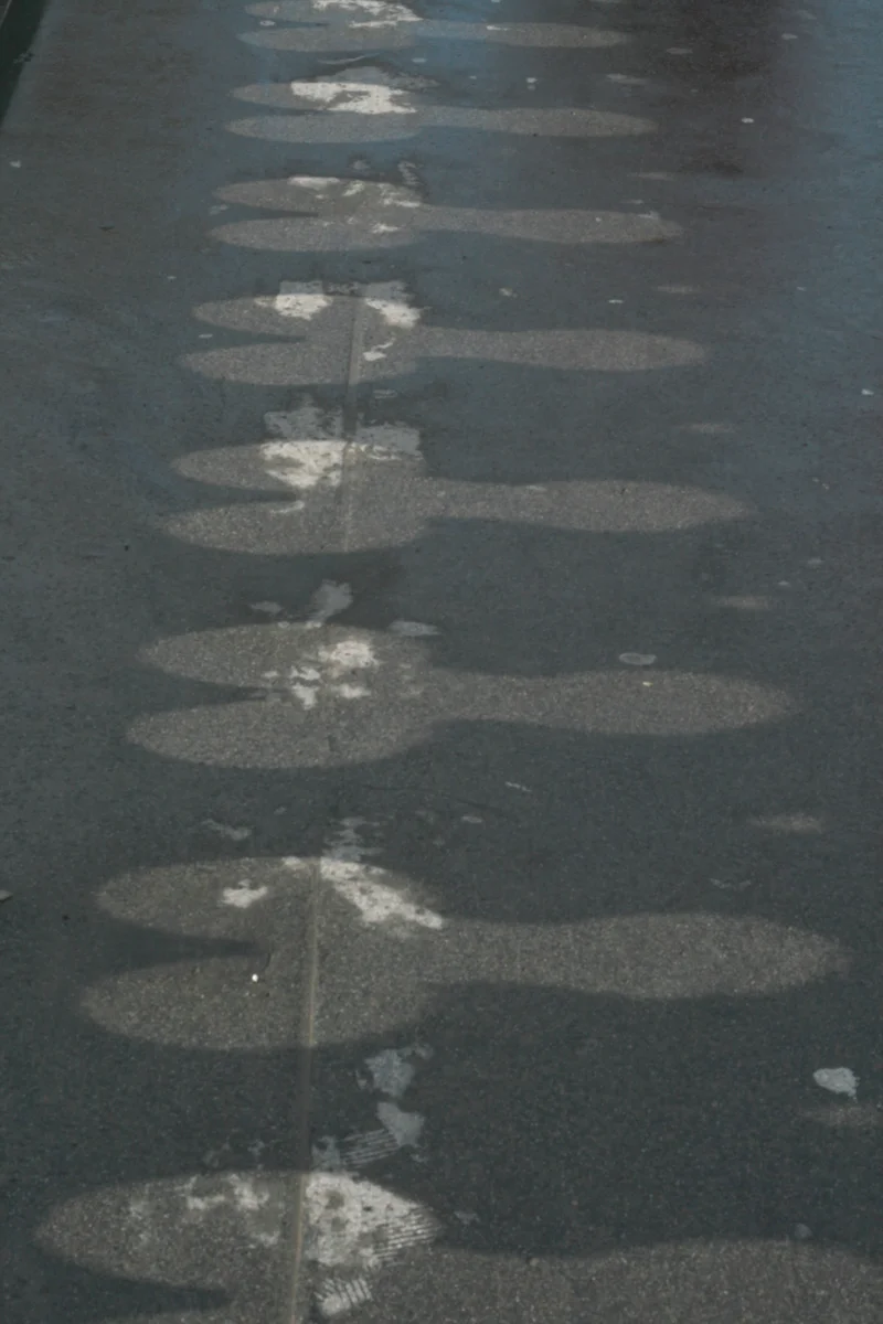 London - gallery image 3