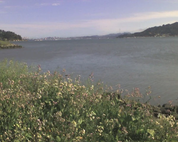 My hiding place - gallery