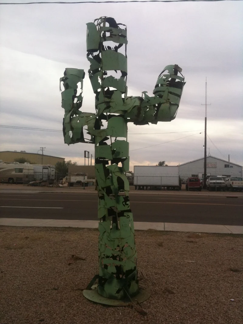 Desert Cactus - feature image