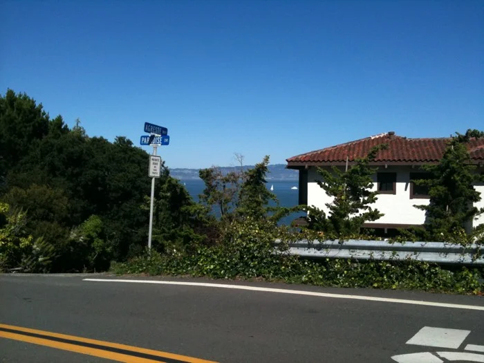 Paradise Drive mes Champs Elysées - feature image