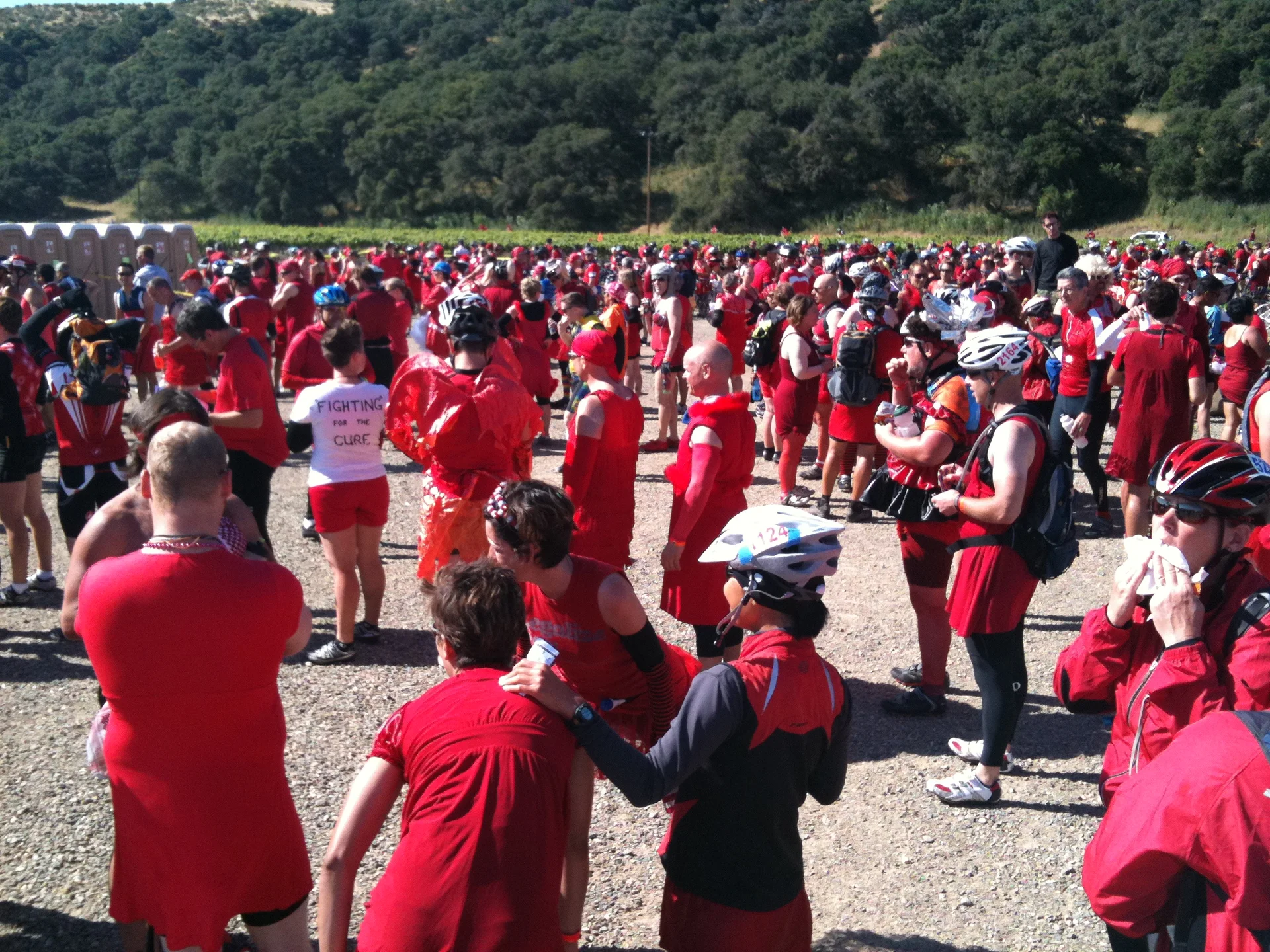 Too many things to post because of the bad service all day. All of our stops were at wineries today. Goodnight. - feature image