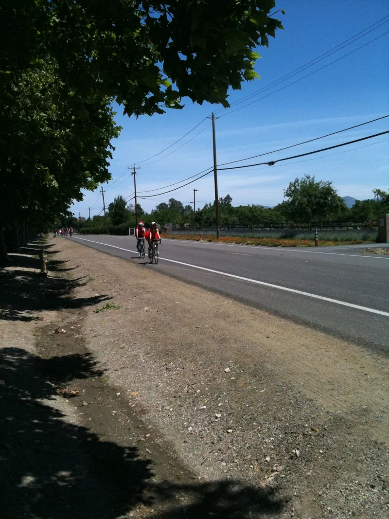 Too many things to post because of the bad service all day. All of our stops were at wineries today. Goodnight. - gallery image 2