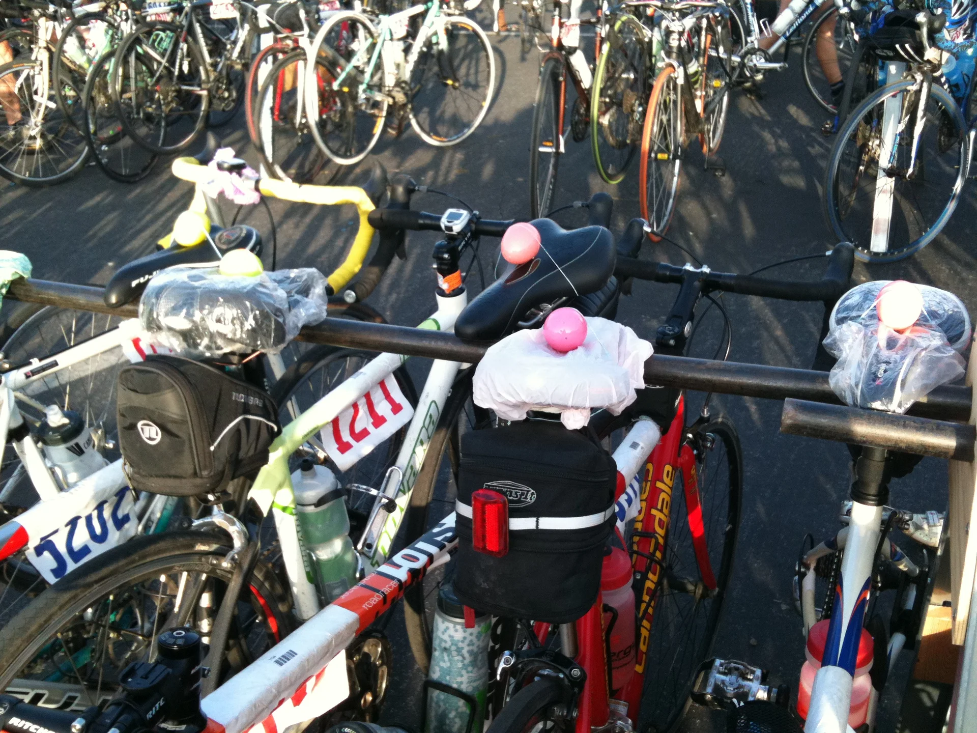 Chicken lady strikes. - feature image