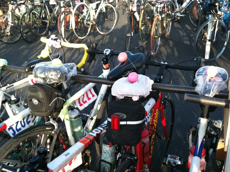 Chicken lady strikes. - feature image