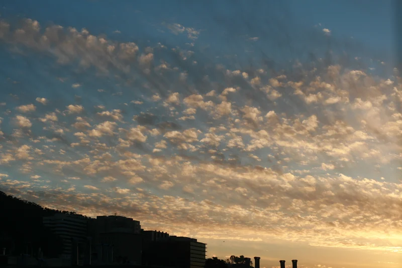 San Francisco - Still Beautiful - gallery image 2