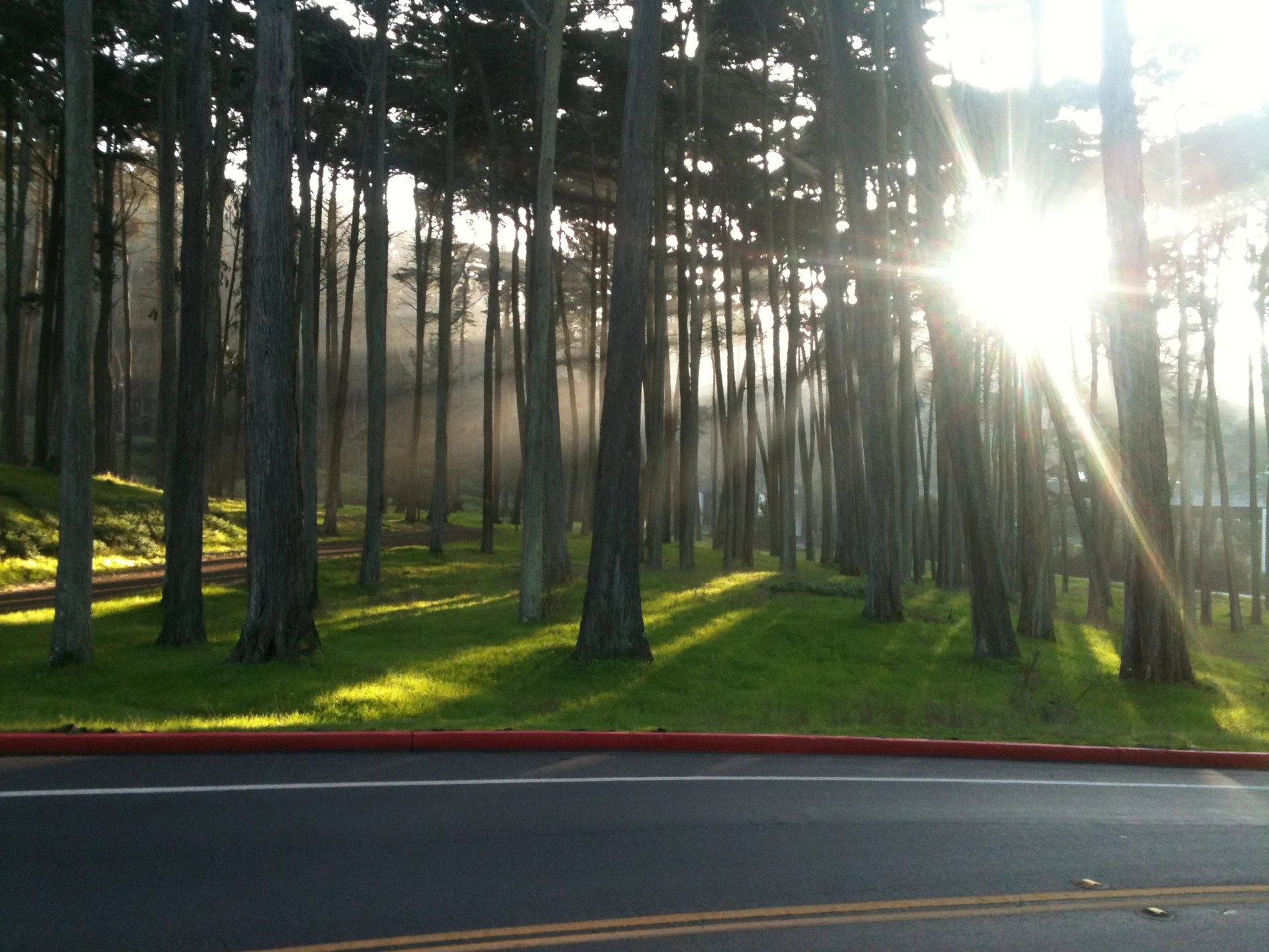 San Francisco - Still Beautiful - feature image