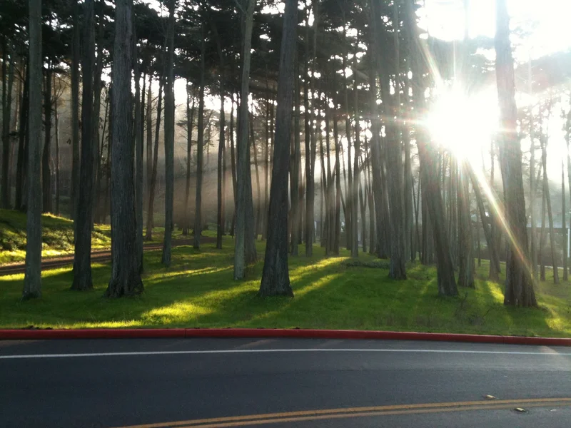 San Francisco - Still Beautiful - feature image