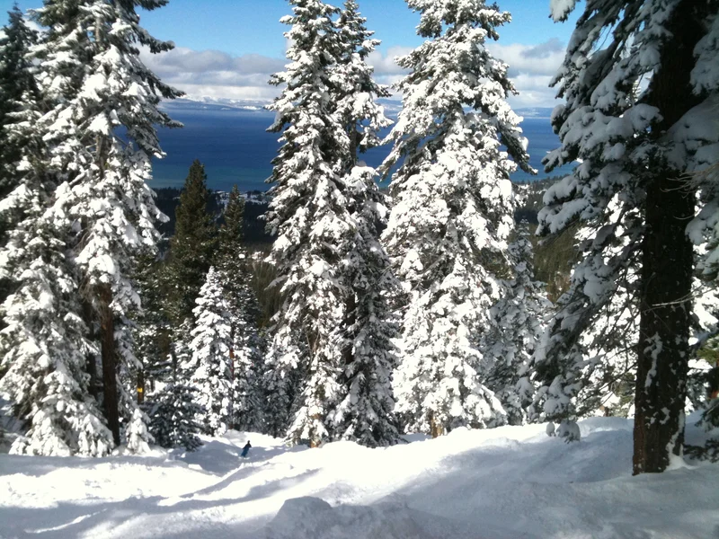 Powder! - feature image