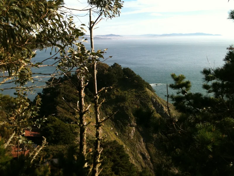 Muir Beach - gallery image 1