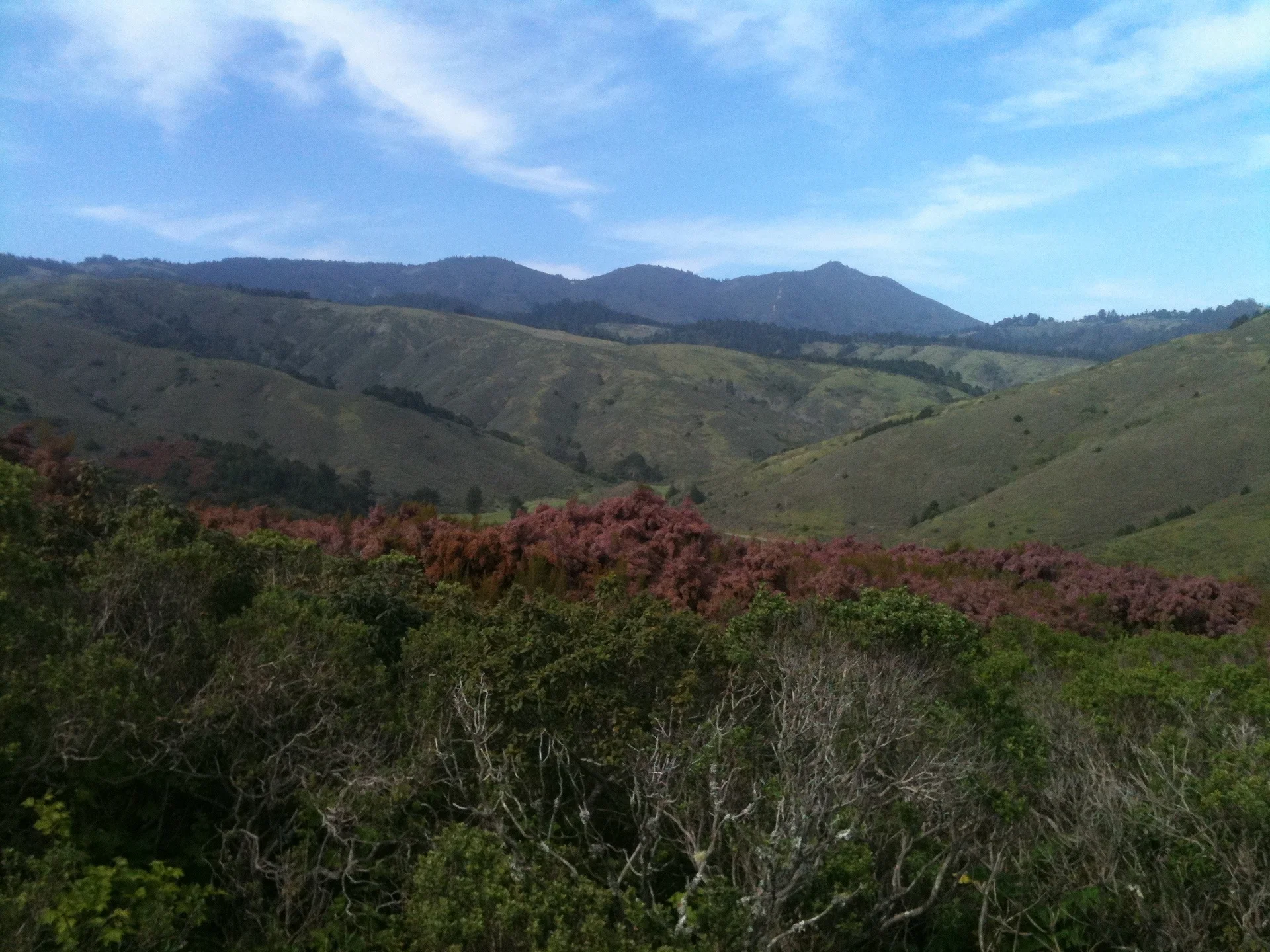 Since all of my pictures are of the ocean... - feature image