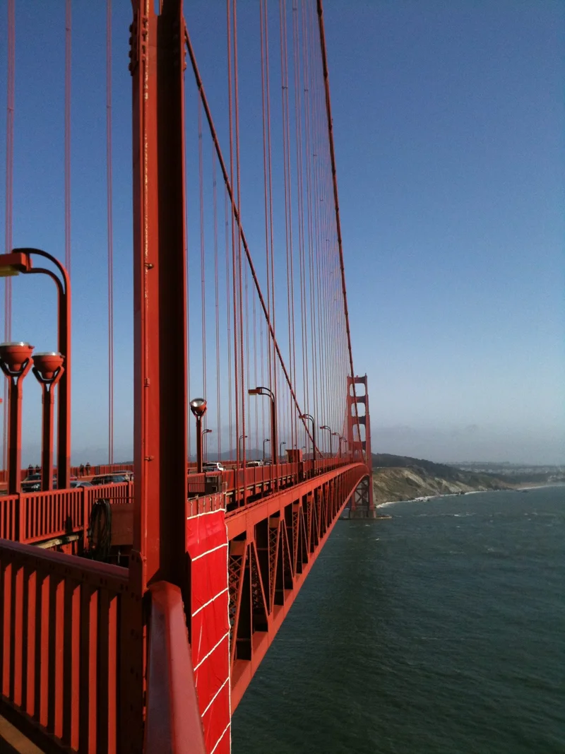 Still Here. - gallery