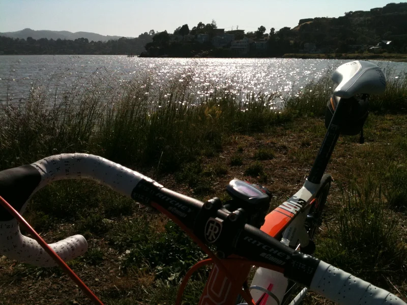 Still Here. - gallery image 1