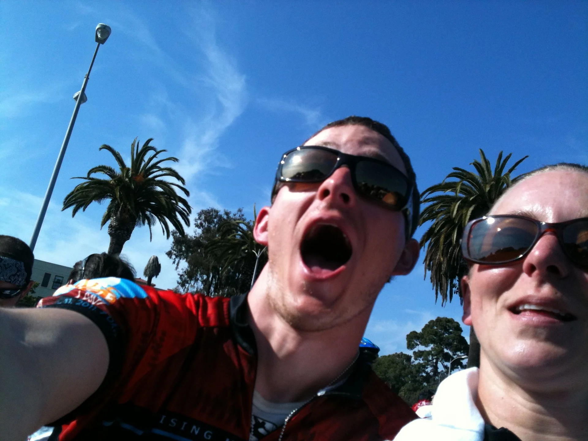 Day 7: Fin - feature image