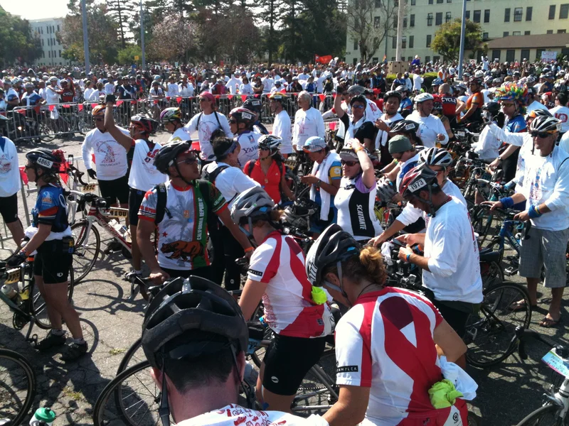 Day 7: Fin - gallery