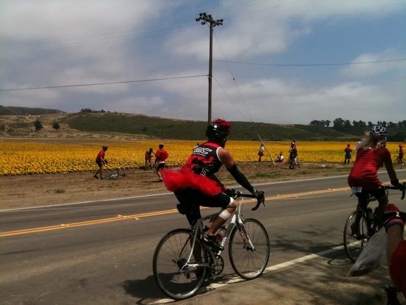 Day 5: Seeing Red - gallery