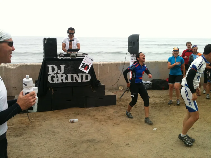 Day 6: Bees - gallery image 2