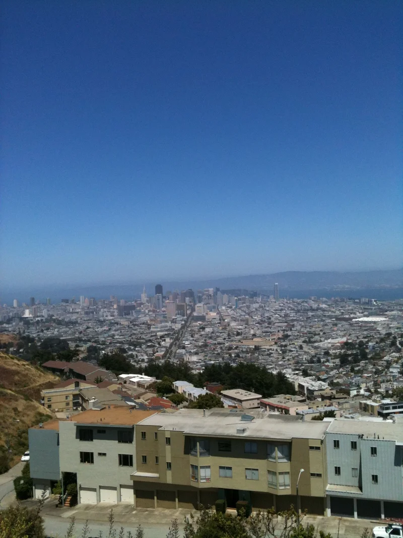 Just wandering. - feature image