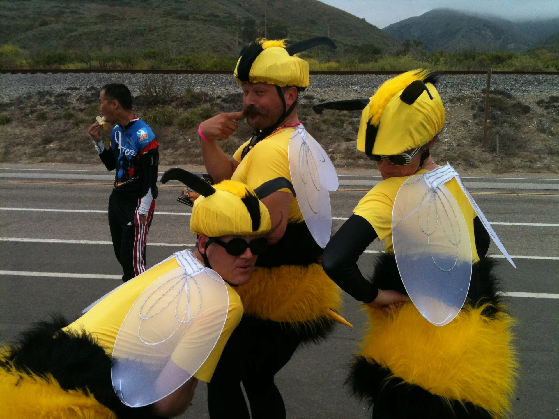 Day 6: Bees - feature image