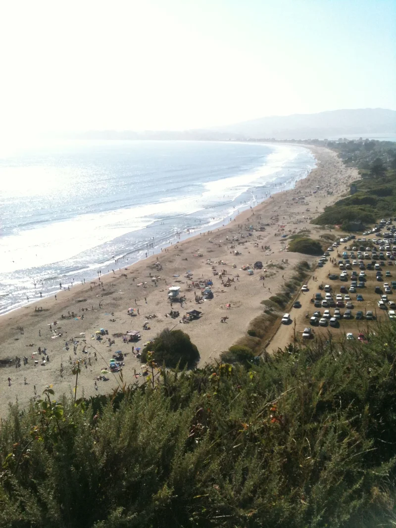 Stinson Beach today was amazing. - gallery image 2