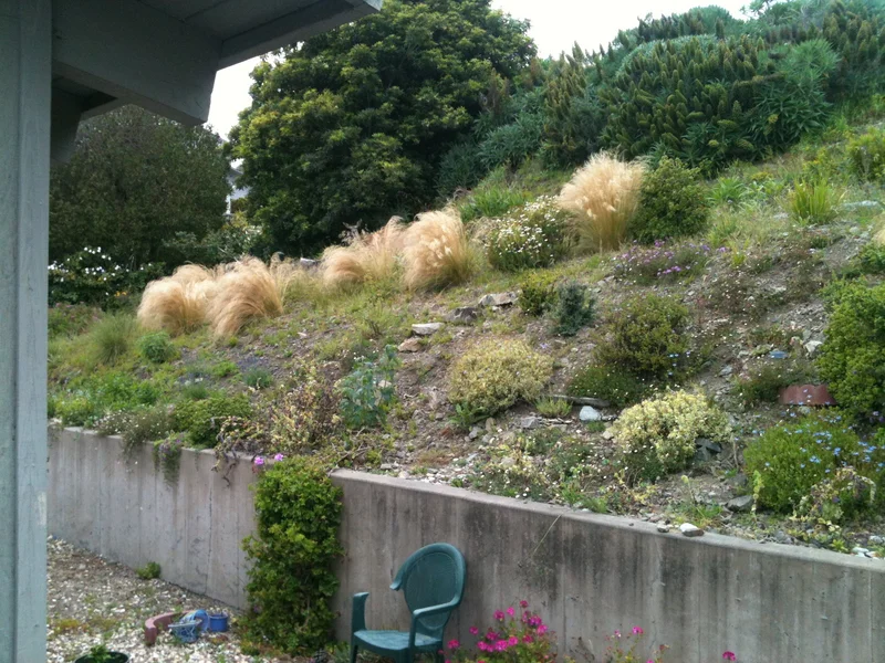 Oui. C'est la mer. - gallery image 2