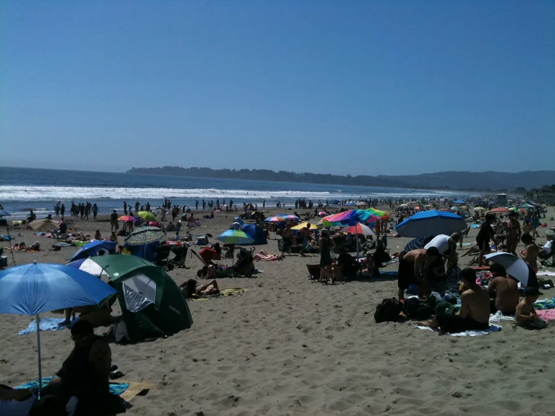 Stinson Beach today was amazing. - gallery image 1