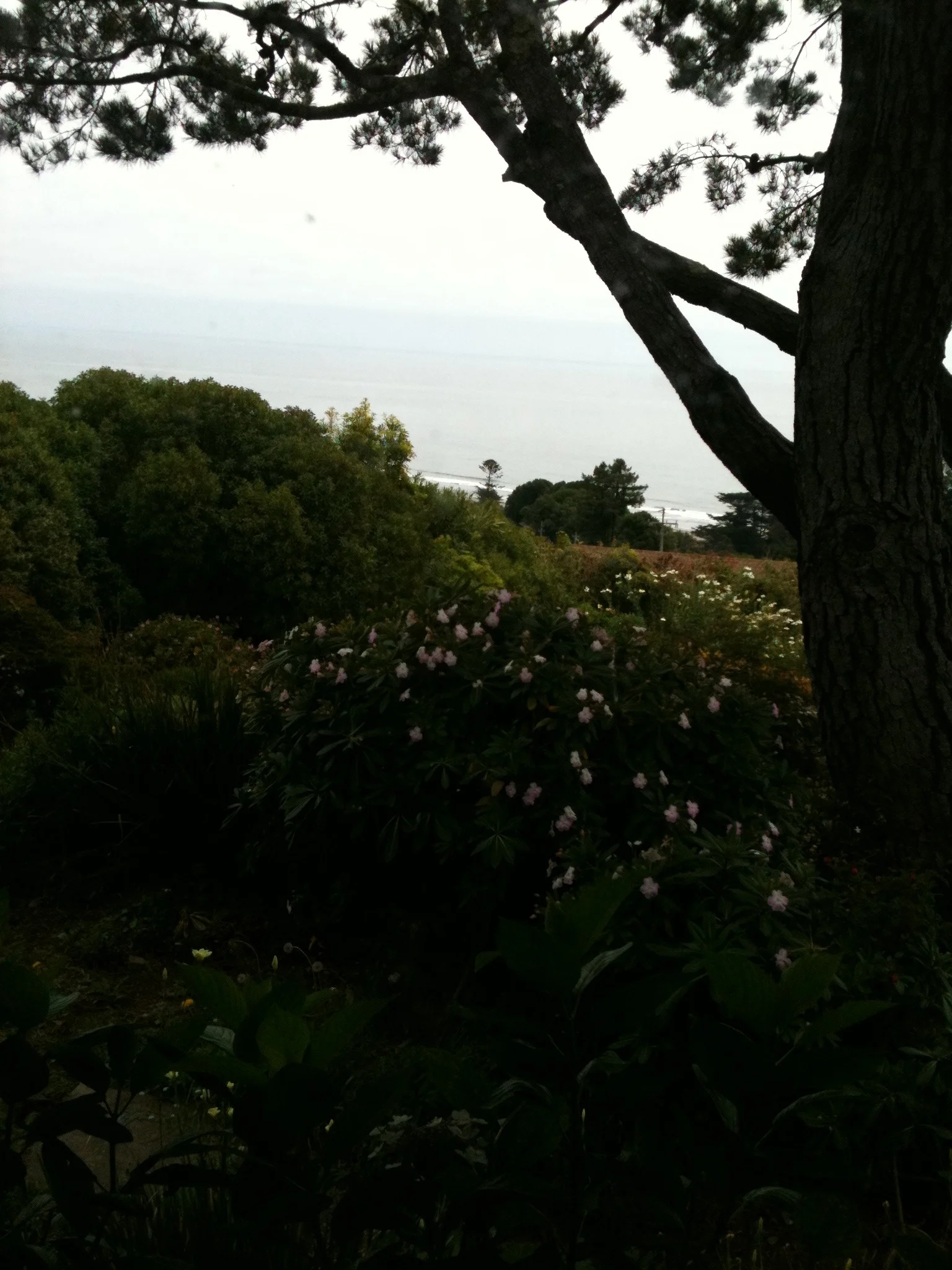 Goodbye Stinson. I'll miss you. - feature image