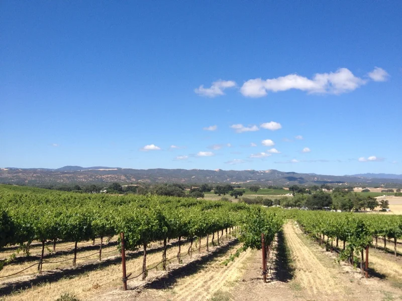 Quad "busta" done. - gallery