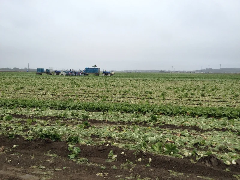 After 50 miles of the most miserable riding in my life... - gallery