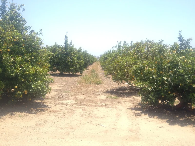 Yay! Santa Barbara! - gallery