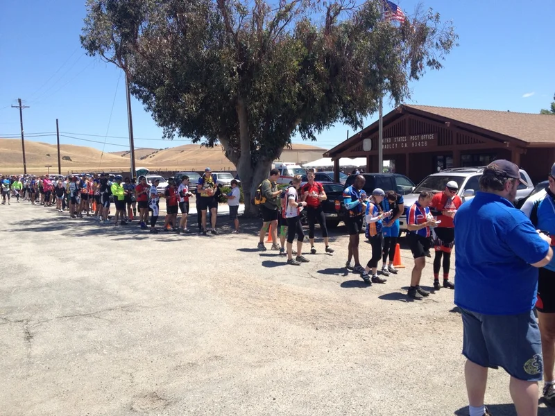 Bradley! - gallery image 4