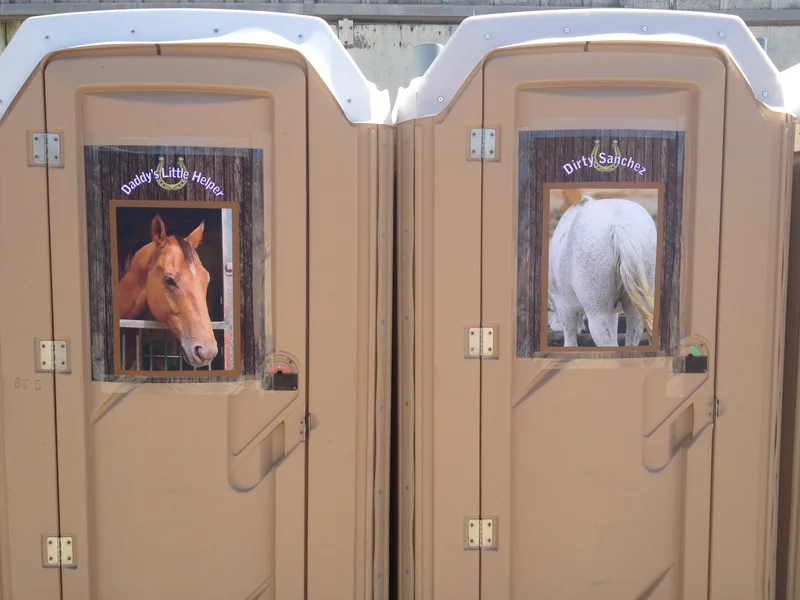 Horses - feature image