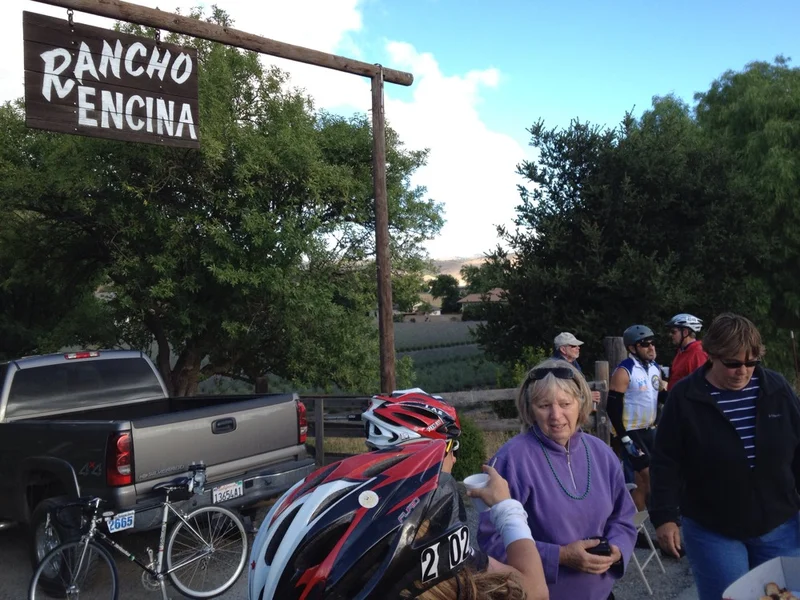 Quad "busta" done. - gallery