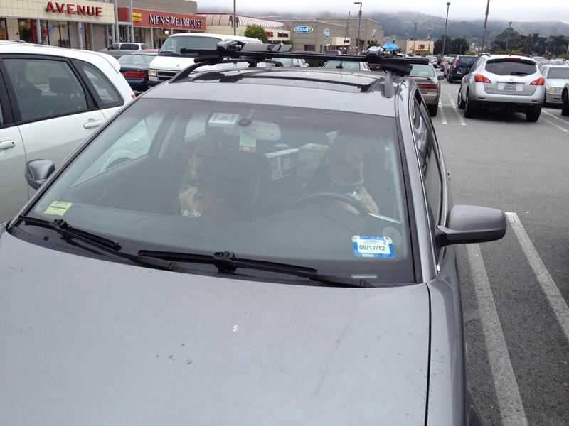 This bitch totally cut me off in traffic. - feature image