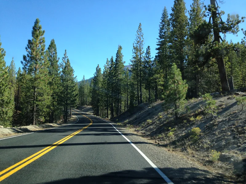 Lassen - gallery image 2