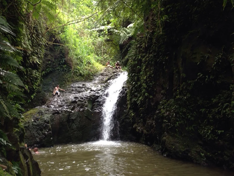 Hawai'i - gallery image 1