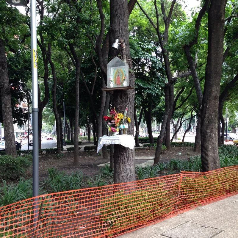 Mexico City! - gallery image 5