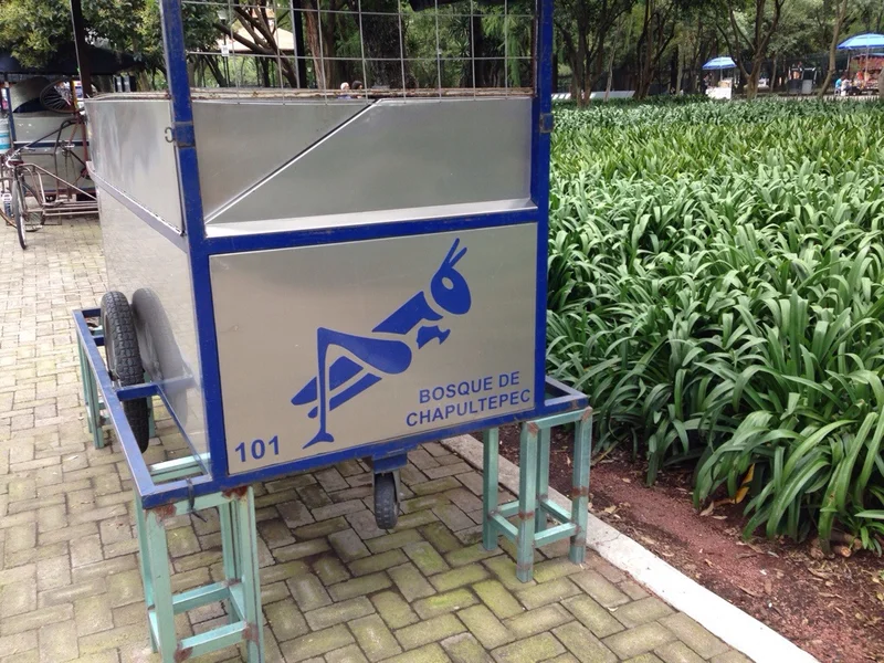 Mexico City! - gallery image 1