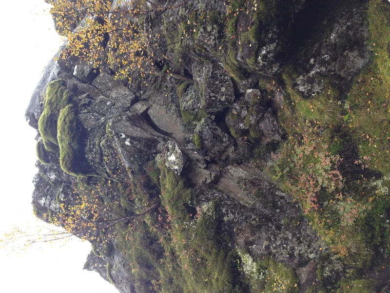 Golden Circle - gallery image 14