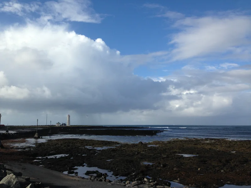 Reykjavik - gallery image 4