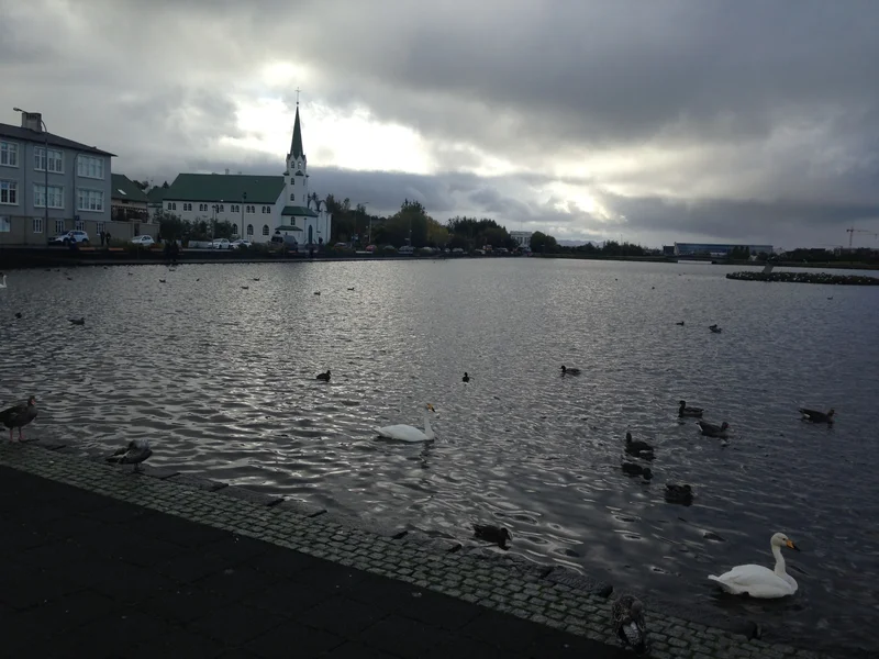Reykjavik - gallery image 32