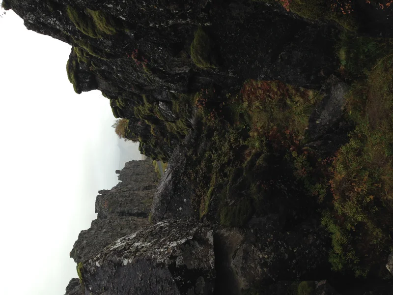 Golden Circle - gallery image 19