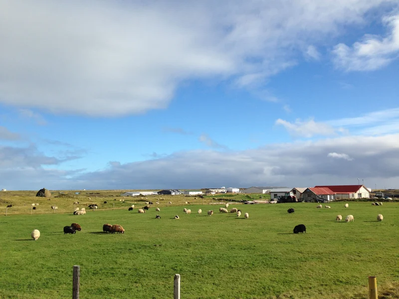 Reykjavik - gallery image 5