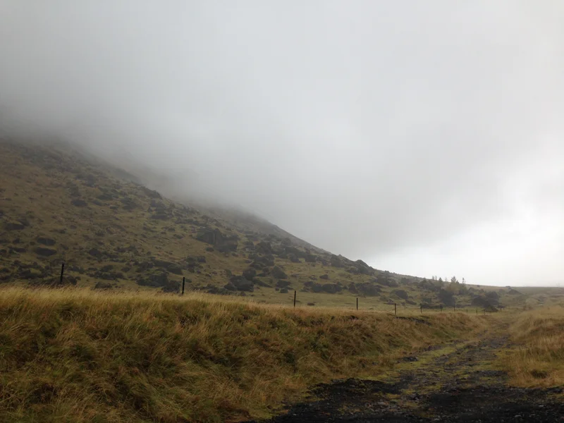 Golden Circle - gallery image 2