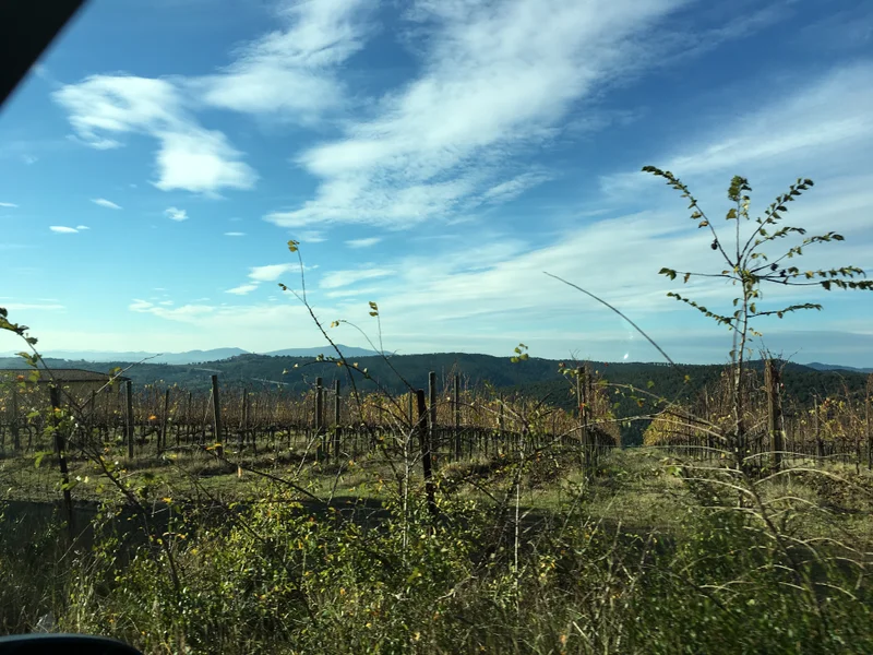 Tuscany - gallery image 1