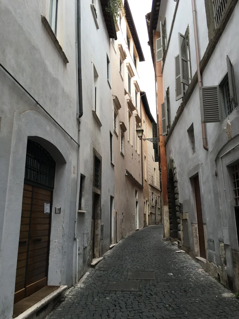 Roma - gallery image 14