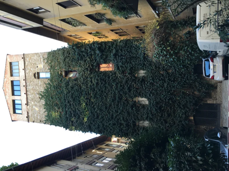 Tuscany - gallery image 11