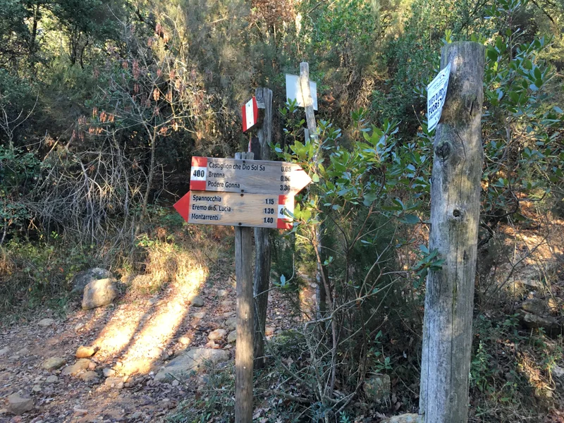 Tuscany - gallery image 22