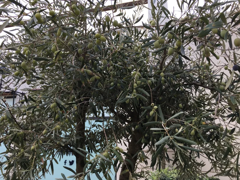 Sicily and Etna - gallery image 2